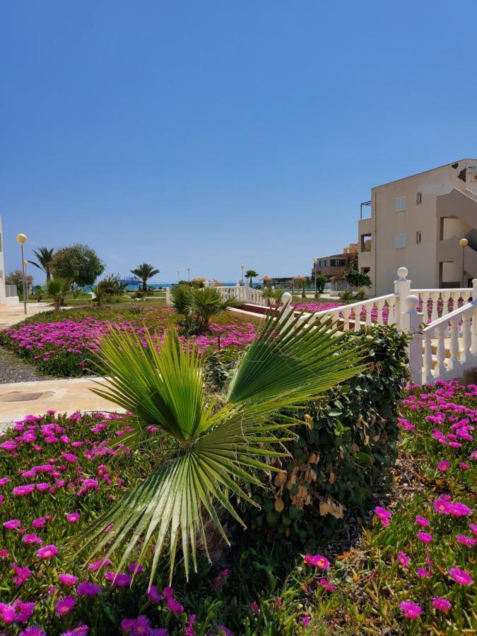 Apartamento Naturista En Primera Linea! Vera Exteriör bild